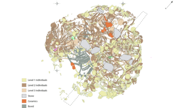 2.800 година стара масовна гробница жена и деце откривена у Србији открива „брутално, намерно и ефикасно“ насиље