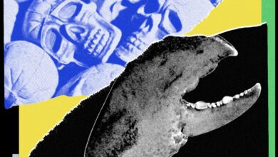 Волео сам свог ОпенЦлав АИ агента—док се није окренуо против мене