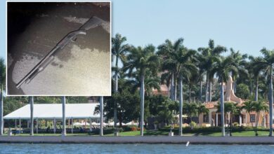 Човек убијен у Мар-а-Лагу био је опседнут Епштајновим досијеима: извештаји