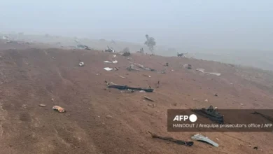 У паду хеликоптера у Перуу погинуло је 15 људи, преживео је само пас У паду хеликоптера у Перуу погинуло је 15 људи, преживео је само пас