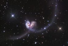 За тебе, Валентине. Фотографије срца из природе