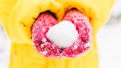 Зашто је мокар, густ снег најбољи за прављење снежних груда и снежака