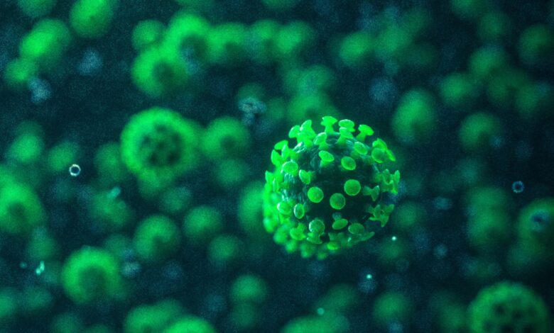 Гојазност може повећати вероватноћу да људи умру од тешких инфекција, открива студија