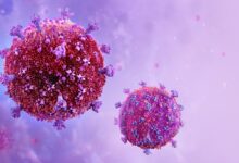 „ДНК оригами“ би могао бити кључ за прављење ефикасне вакцине против ХИВ-а, наговештава рана студија. Ево како то функционише.