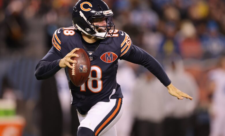 Медведи предузимају ‘смислене кораке’ ка напуштању Чикага након што је кључни закон једногласно усвојен Медведи предузимају ‘смислене кораке’ ка напуштању Чикага након што је кључни закон једногласно усвојен