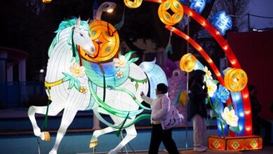 У масовној експлозији продавнице ватромета у Кини погинуло је осам људи уочи Лунарне Нове године