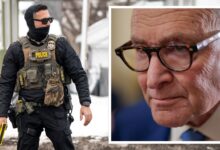 Шумер угошћује медицинску сестру из Бронкса чијег је сина зграбио ИЦЕ