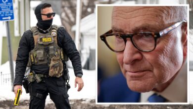 Шумер угошћује медицинску сестру из Бронкса чијег је сина зграбио ИЦЕ