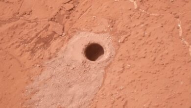 НАСА каже да је органске материје на Марсу тешко објаснити без живота