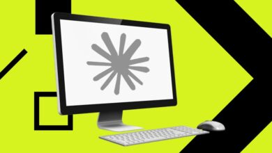 Цлауде Цоде не ради због великог прекида рада