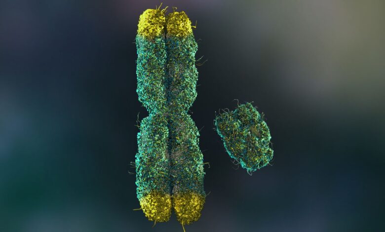 Многи мушкарци губе своје И хромозоме како старе. То им може скратити живот.