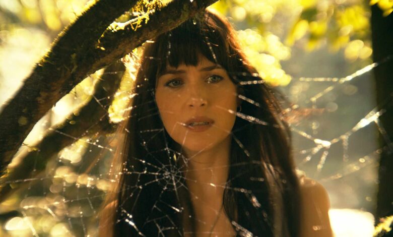 Сони ће поново покренути проширени универзум Спајдермена, каже шеф студија Сони ће поново покренути проширени универзум Спајдермена, каже шеф студија