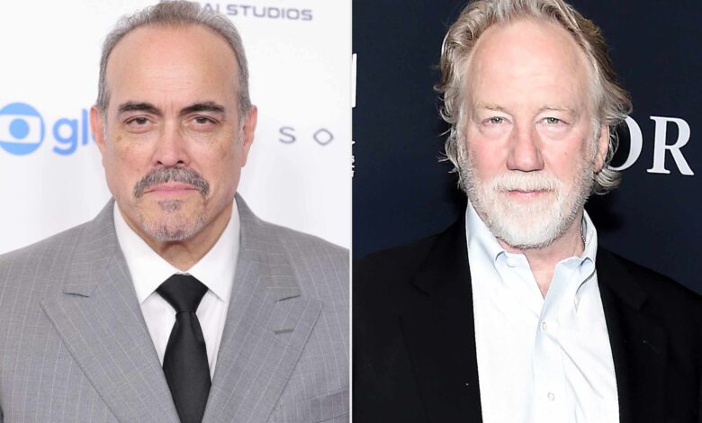 Звезда ‘Дектера’ заменила је Тимотија Басфилда у ‘СВУ’ након оптужби за злостављање деце