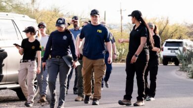 Власти Аризоне добиле су скоро 18.000 дојава откако је Ненси Гатри наводно киднапована из свог дома