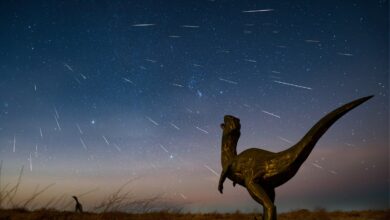 Да ли би ванземаљци у другој галаксији могли да виде диносаурусе на Земљи?