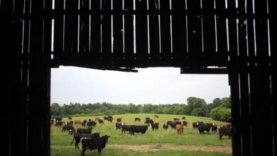 Градитељи дата центара мислили су да ће фармери вољно продати земљу, научили другачије