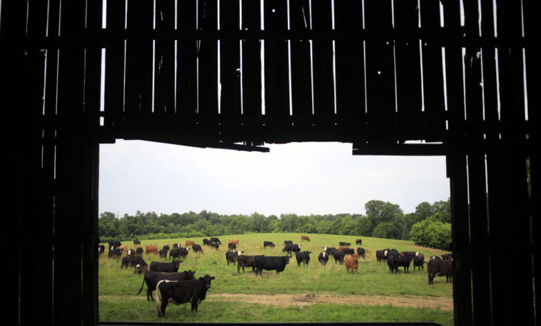 Градитељи дата центара мислили су да ће фармери вољно продати земљу, научили другачије
