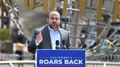 Напор чланова већа да се побољша снимање у Лос Анђелесу превазилази последњу препреку