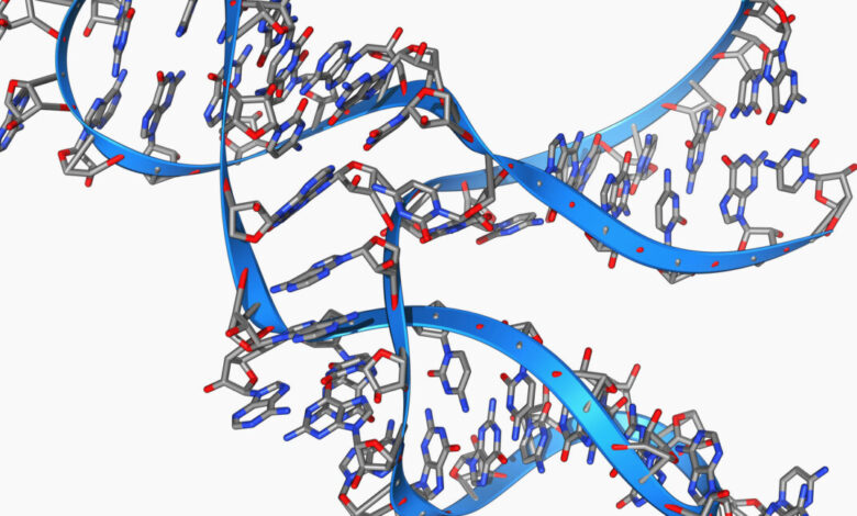 Мала, 45 база дуга РНК може направити копије саме себе