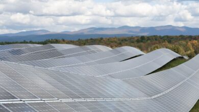 САД су прошле године имале велики бум батерије