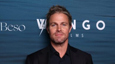 Фок-ов ребоот ‘Баиватцх’ доноси Стивена Амела да води серију