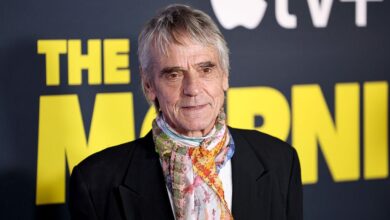 Џереми Ајронс није успео да постане ирски држављанин