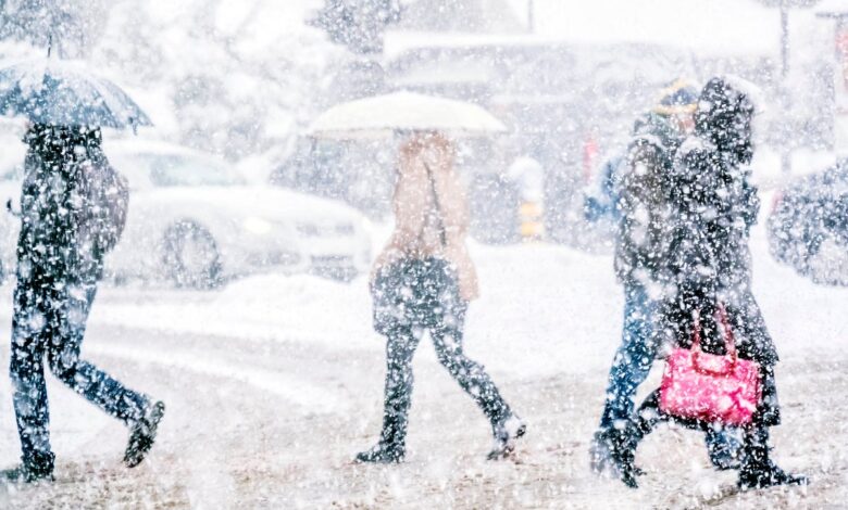 Шта је мећава? | Сциентифиц Америцан