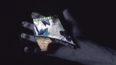 Лотус ципеле: Ситна обућа за Кинескиње чија су стопала била везана као деца Лотус ципеле: Ситна обућа за Кинескиње чија су стопала била везана као деца