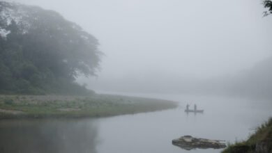 Филм ‘Срце светлости – једанаест песама за Фиџи’ Филм ‘Срце светлости – једанаест песама за Фиџи’