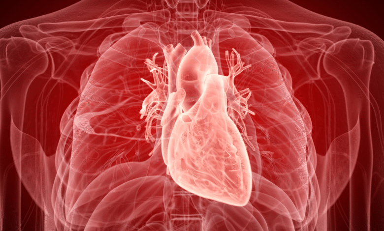 Дијагностичка дилема: обдукција човека открива неочекивану структуру у облику бумеранга у његовом срцу