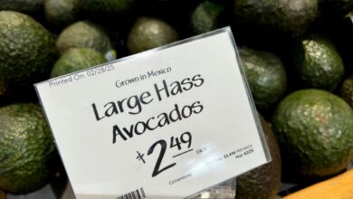 Латинска Америка ће анализирати мере због царина