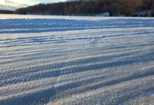 Без приањања, максимална забава: Практични водич за улазак у аматерске трке на леду