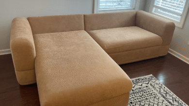 Коала Ванда Софа Бед Ревиев: Цомпацт Цомфорт Коала Ванда Софа Бед Ревиев: Цомпацт Цомфорт