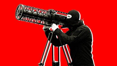 ‘Пев Пев’: кинеске компаније продају оружје против дронова на ТикТок-у