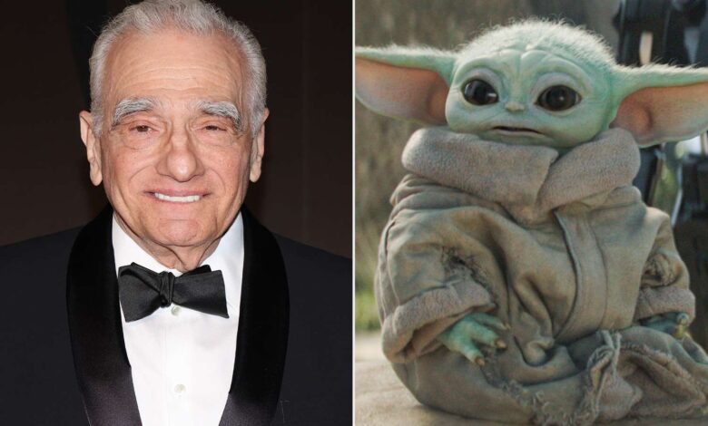 Откривена улога Мандалоријанца и Грогуа Откривена улога Мандалоријанца и Грогуа