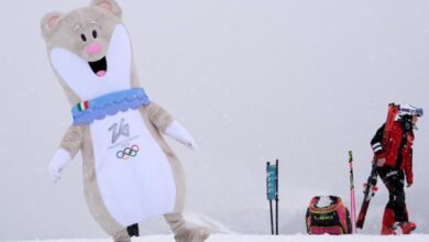 Омиљене олимпијске маскоте су створења која мењају боју и која су рањива на климатске промене