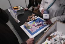 Љубитељи Олимпијаде лове плишане маскоте Мила и Тине док лете са полица