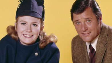 „Дадиља и професор“ се бави питањем зашто главни јунаци никада нису пронашли љубав