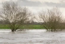 Један мртав и хиљаде без струје због поплава на Новом Зеланду