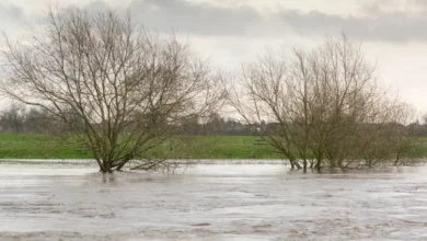 Један мртав и хиљаде без струје због поплава на Новом Зеланду
