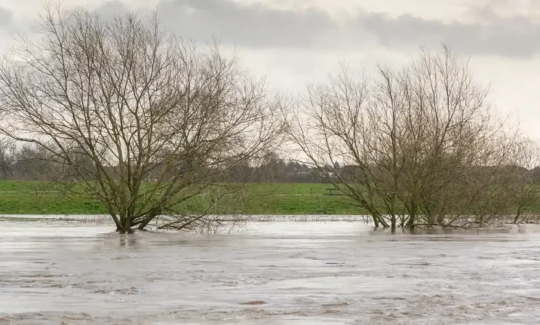 Један мртав и хиљаде без струје због поплава на Новом Зеланду