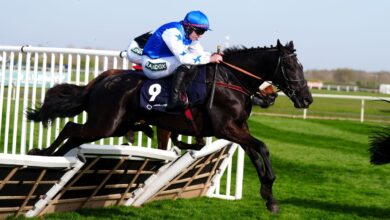 Петак савети за коњске трке: најбоље опкладе и квоте за клађење Келсо