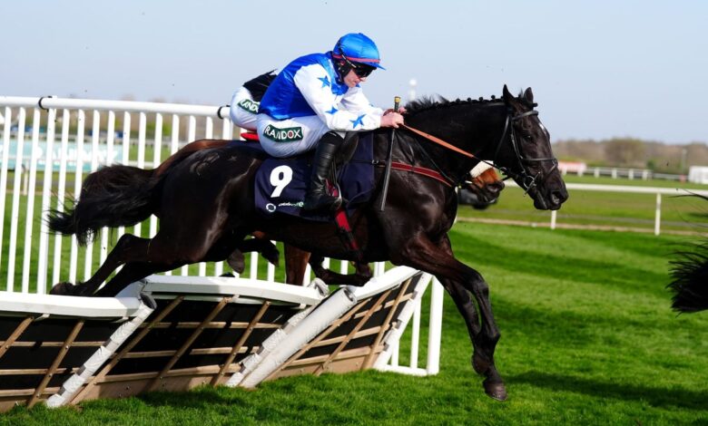 Петак савети за коњске трке: најбоље опкладе и квоте за клађење Келсо