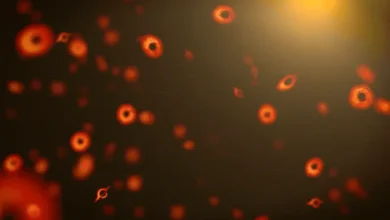 Да ли смо видели да је црна рупа експлодирала? Ако је тако, могло би много тога да објасни