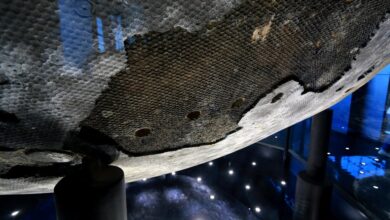 НАСА-ина мисија Артемис ИИ на месец захваћена дебатом око њеног контроверзног топлотног штита