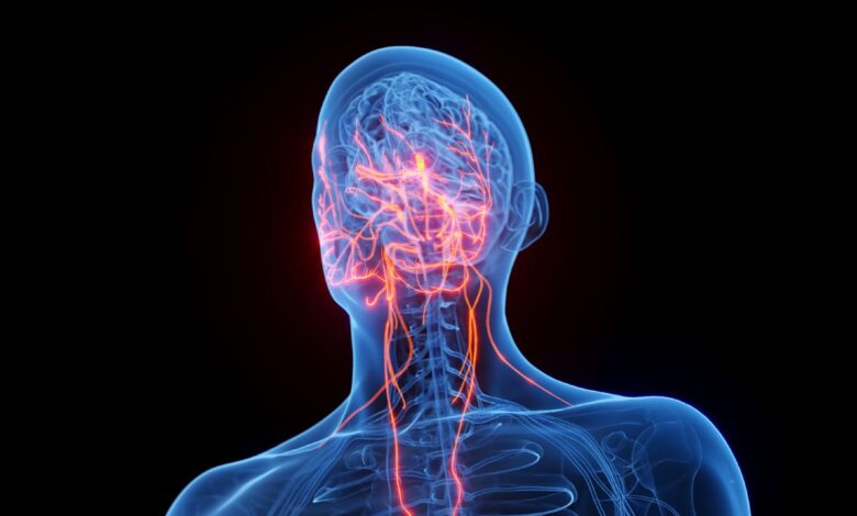 Недостатак сна покреће каскаду штетних сигнала од мозга до црева