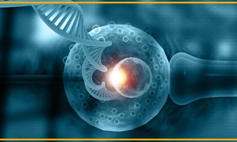 Нова технологија омогућава родитељима да „бодују“ ИВФ ембрионе за пожељне особине – и очајнички им је потребна регулација