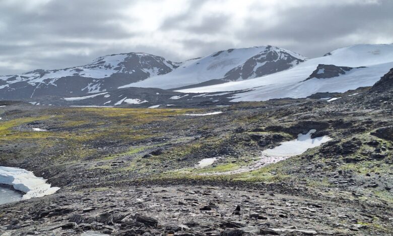 Научници упозоравају да би најгори климатски сценарио неповратно оштетио Антарктик