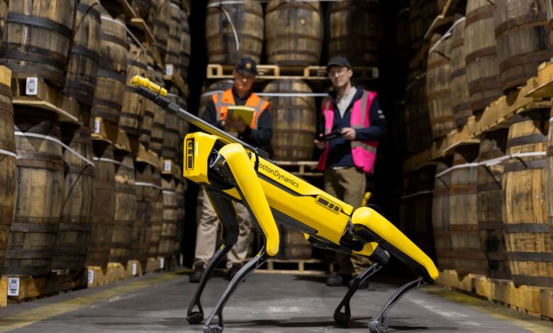 Упознајте шкотског пса робота који њуши виски