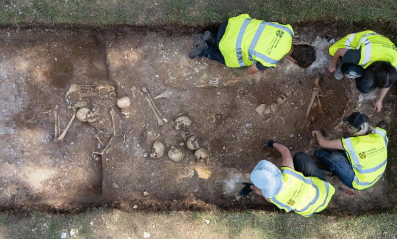 Вести из науке ове недеље: Кина претвара пустињу у умиваоник угљеника, гроб из доба Викинга држи џина који је имао операцију мозга, почетак стварног живота и идеја о поклону за Валентиново у последњем тренутку из природе